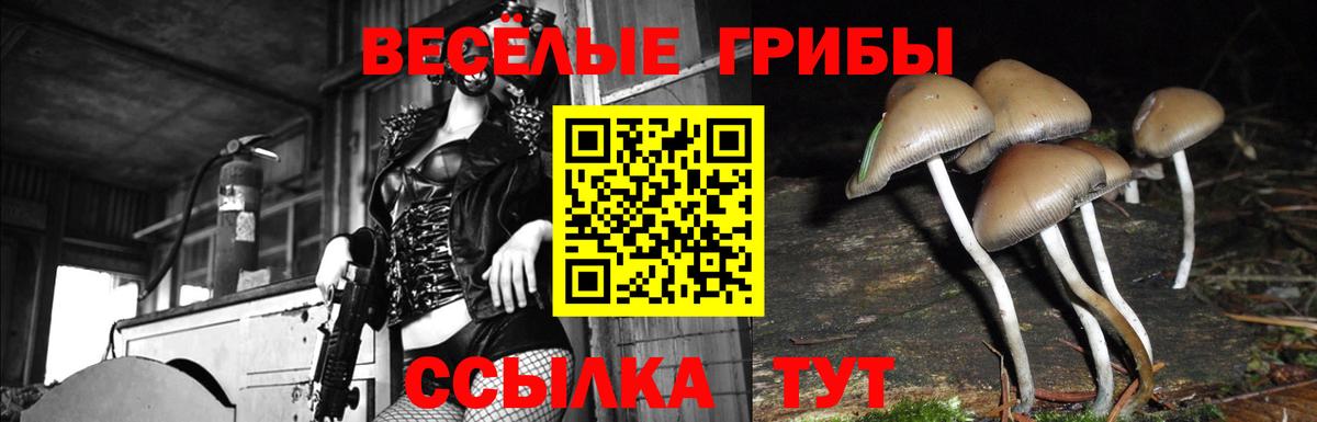 Первоуральск  Галлюциногенные грибы Magic Shrooms  Вход с VPN  Псилоцибиновые грибы GOLDEN TEACHER 